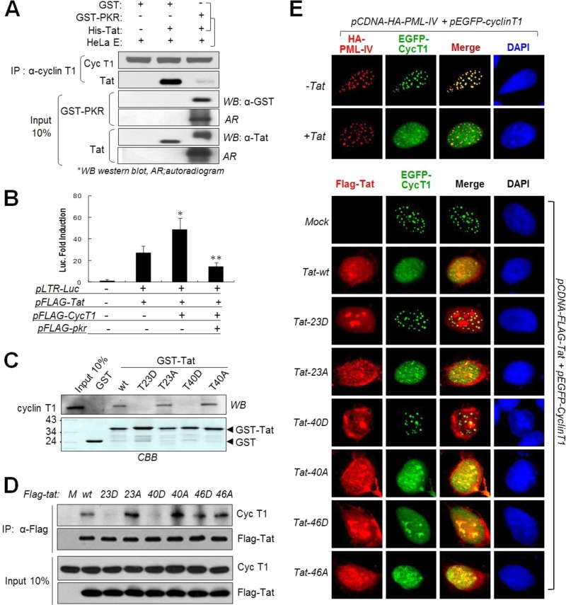 FIG 8