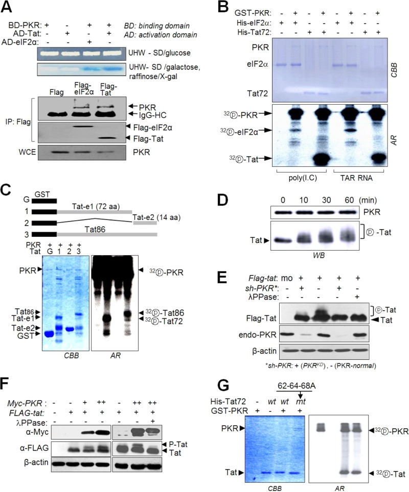 FIG 3