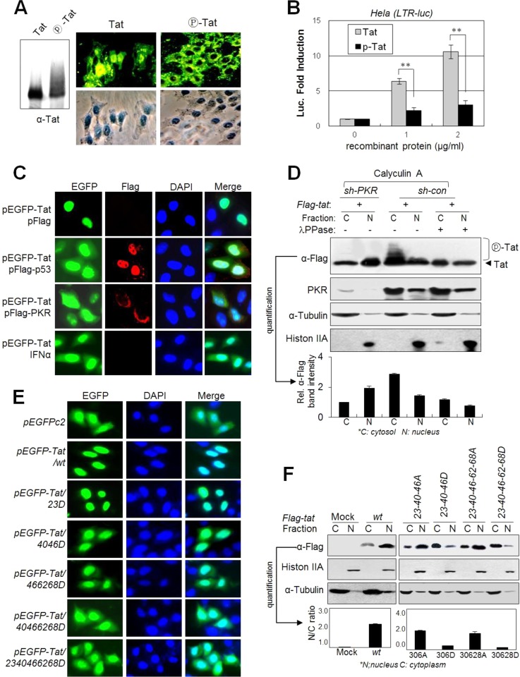 FIG 6