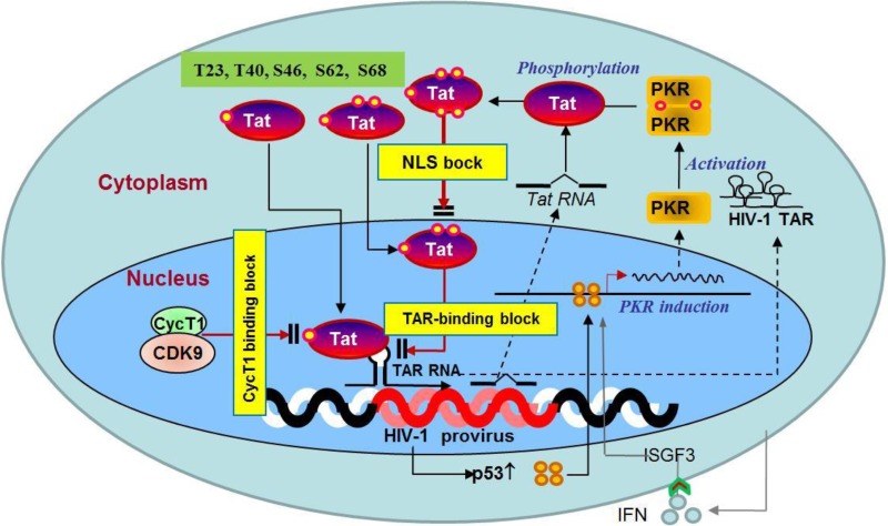 FIG 10