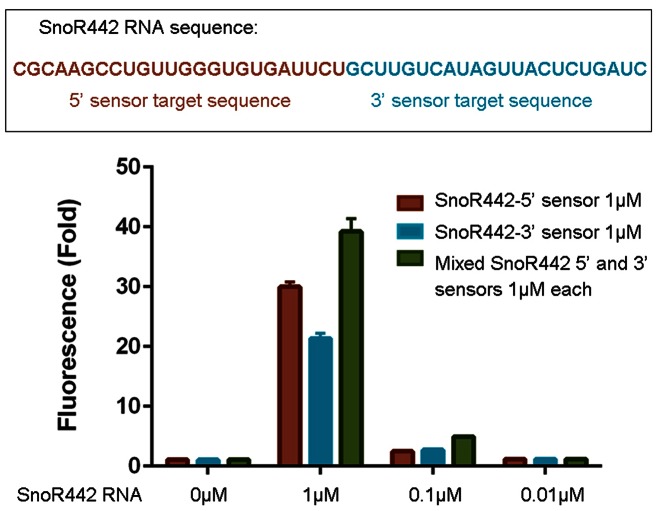 Figure 6.