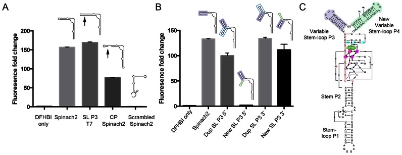 Figure 2.