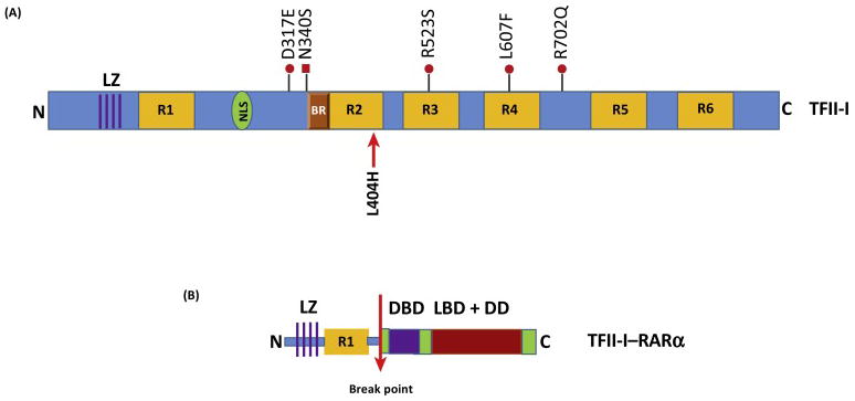 Fig 4