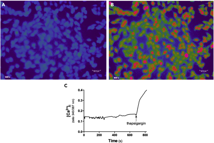 Figure 5