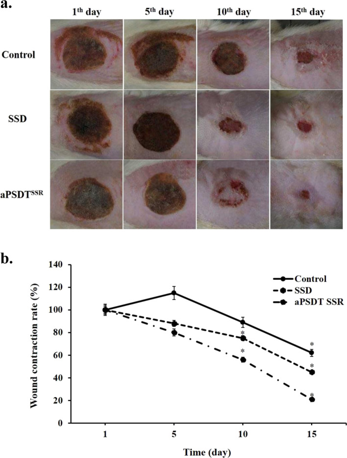 Fig. 6