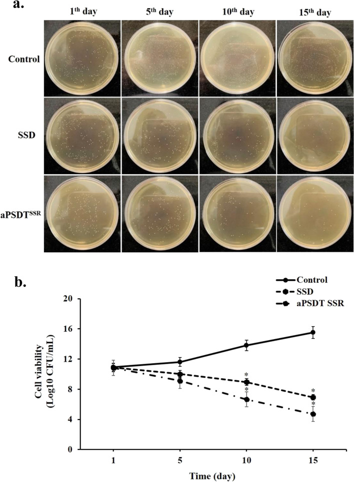 Fig. 7