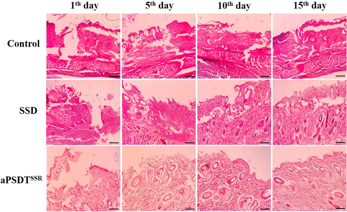 Fig. 9