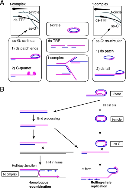 FIG. 9.