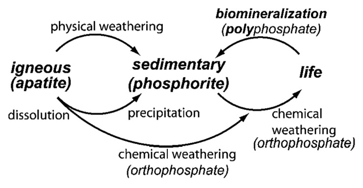 graphic file with name biom-1-121-g1.jpg