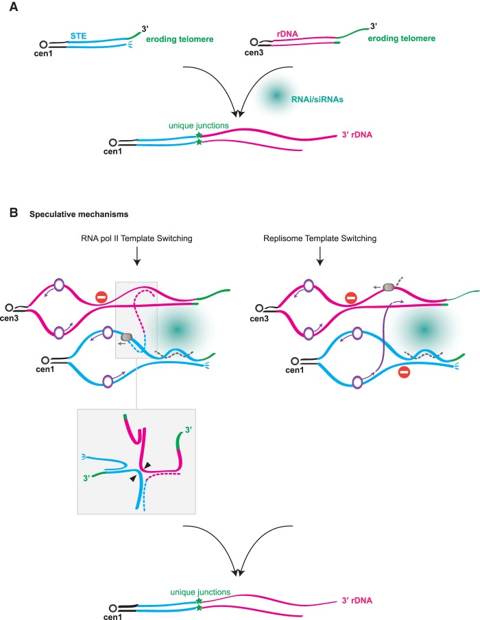 Figure 7.