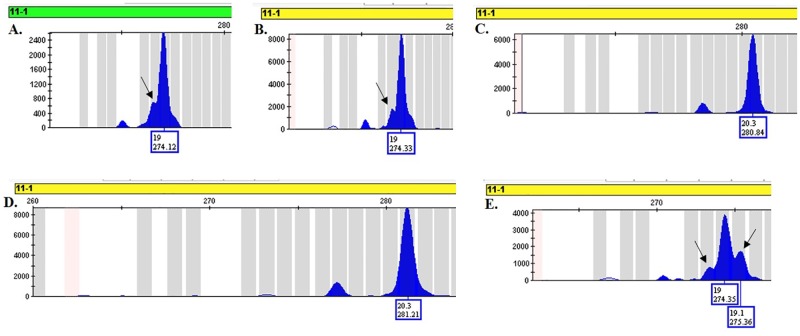 Fig 4