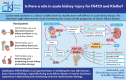 Graphical Abstract