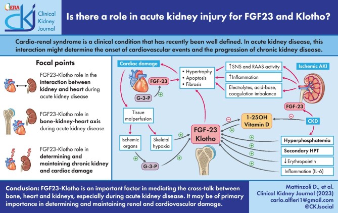 Graphical Abstract