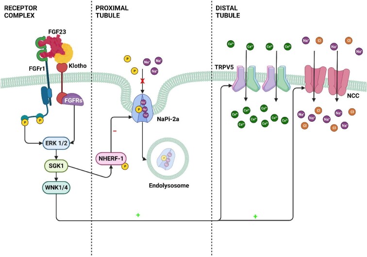 Figure 3: