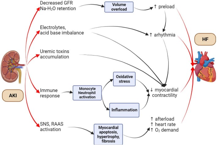 Figure 1: