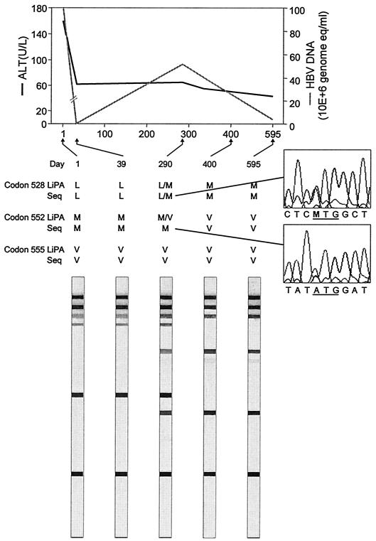 FIG. 1.