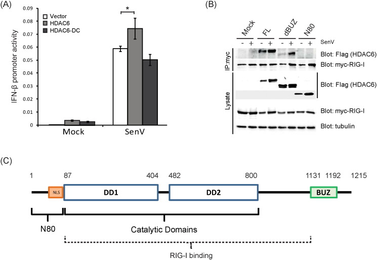 Supplementary Fig. 4