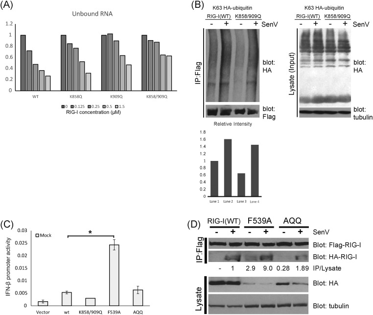 Supplementary Fig. 2