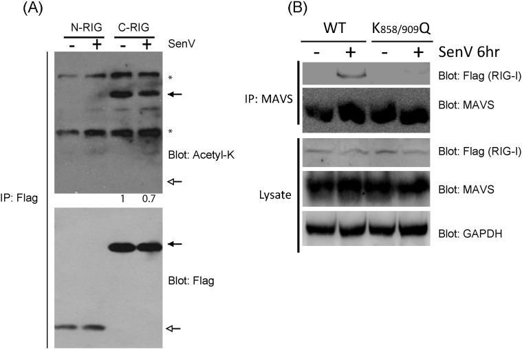 Supplementary Fig. 1