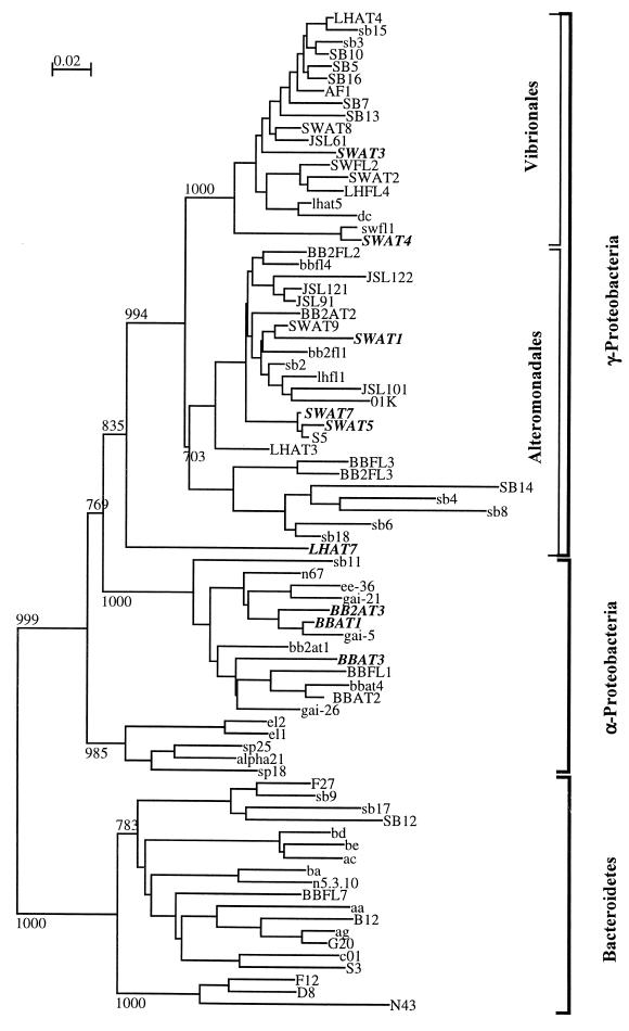 FIG. 1