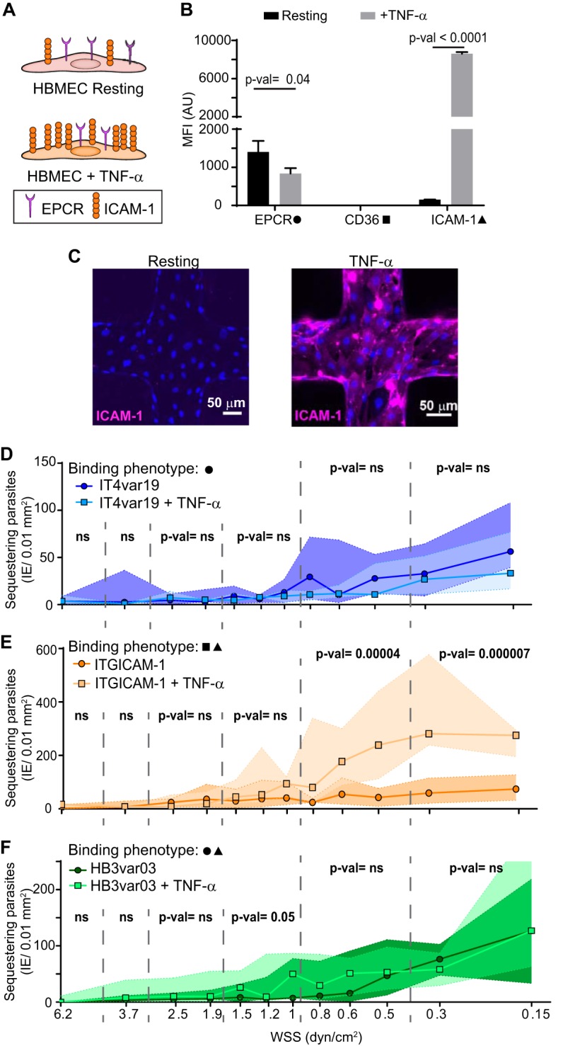 FIG 4