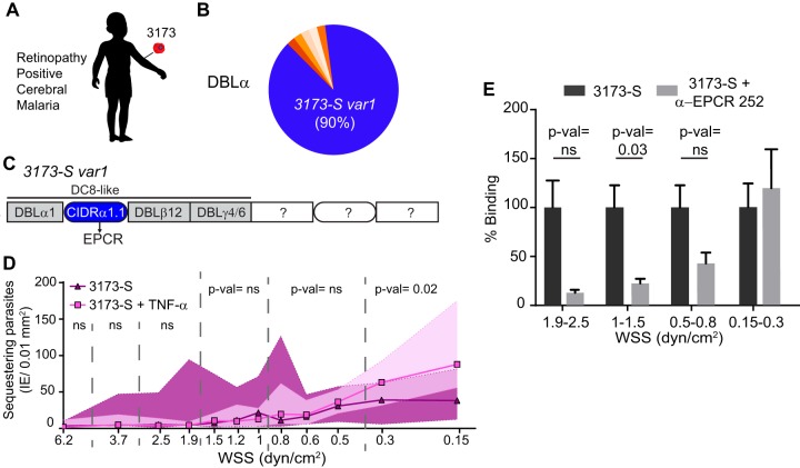 FIG 6