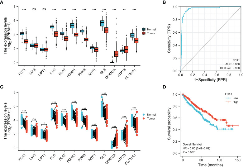 Figure 1