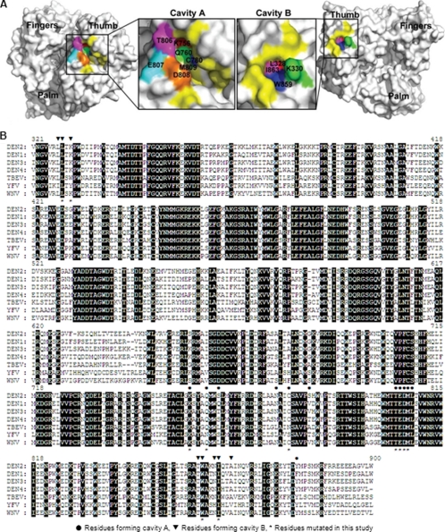 FIGURE 1.