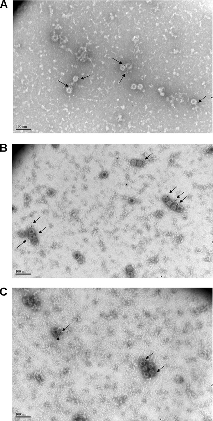 FIG 11