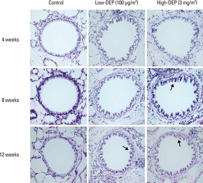 Fig. 10