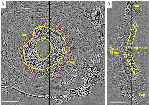 Fig. 3.