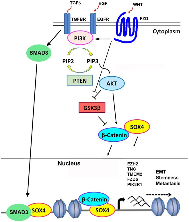 Figure 3: