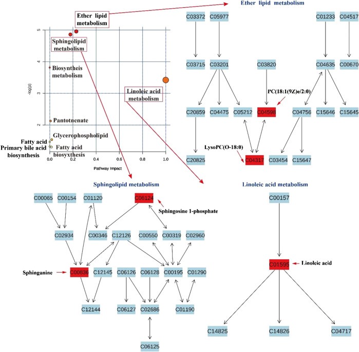 FIGURE 10