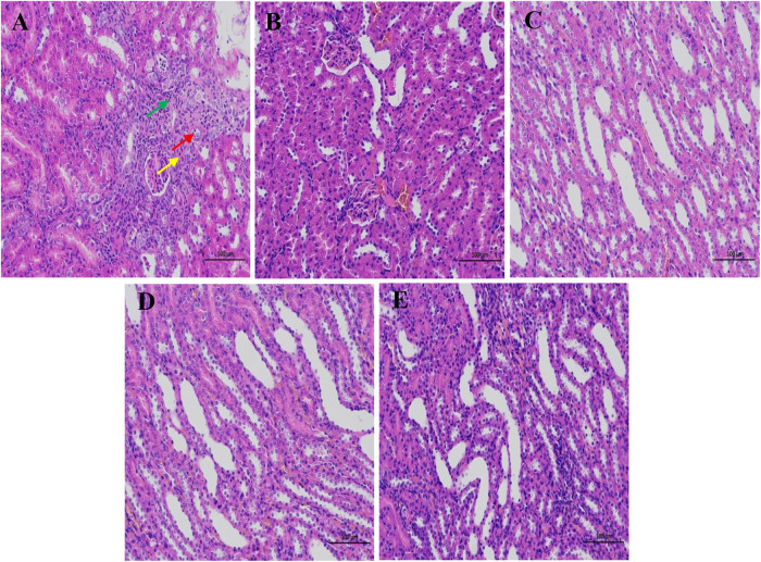 FIGURE 3