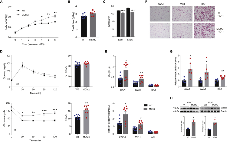 Figure 2