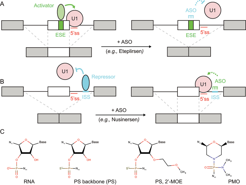 Figure 6.