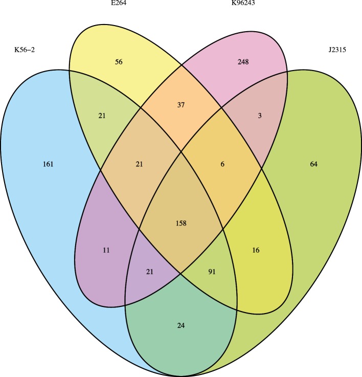 Fig. 5.