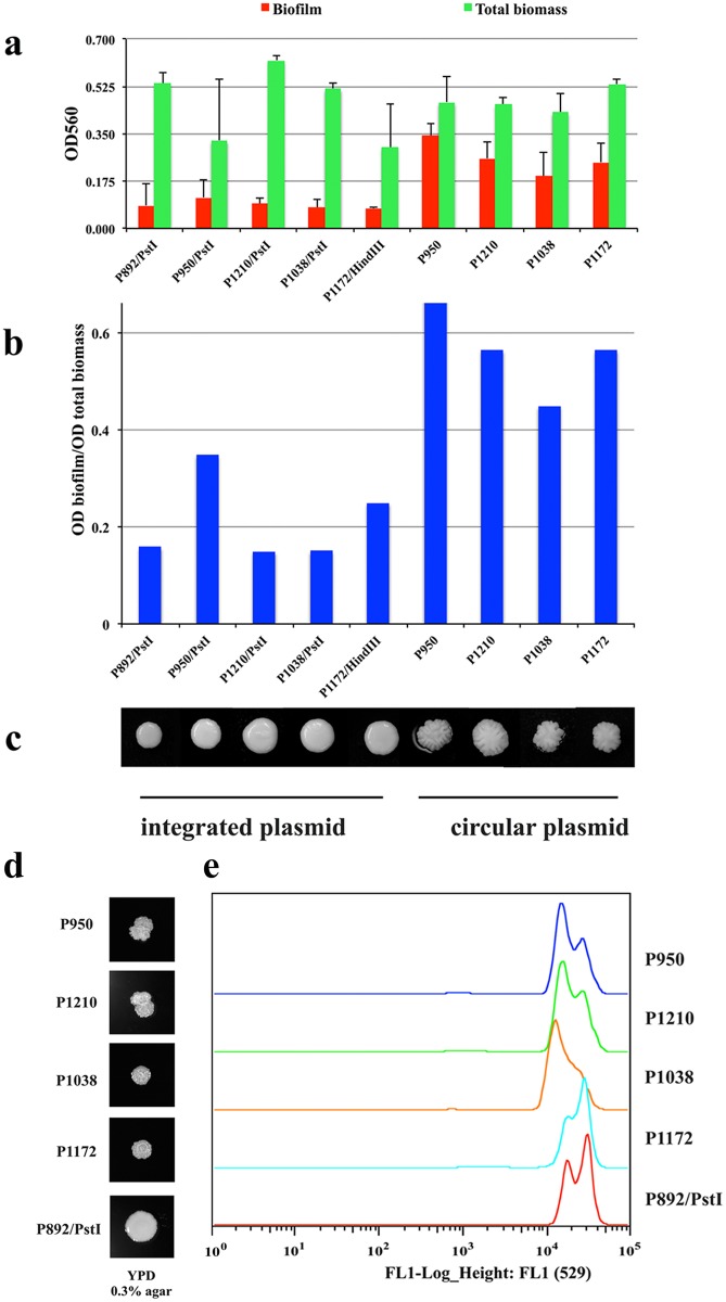 Fig 7