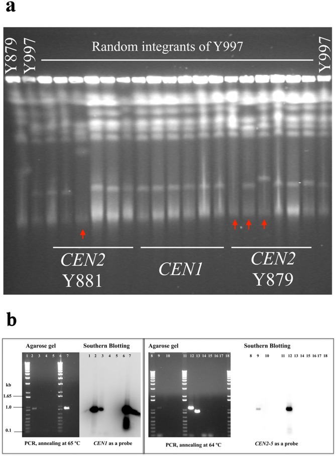 Fig 6