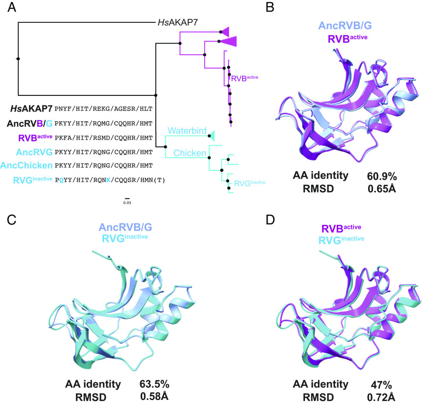 Fig. 8.