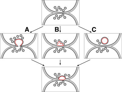 Figure 10.