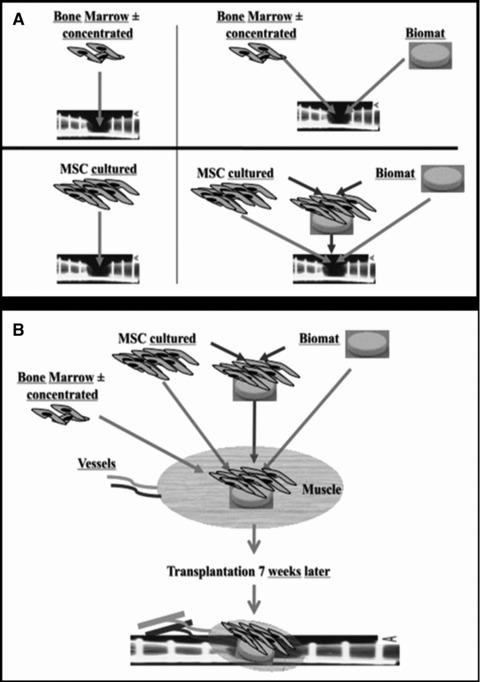 Fig 7