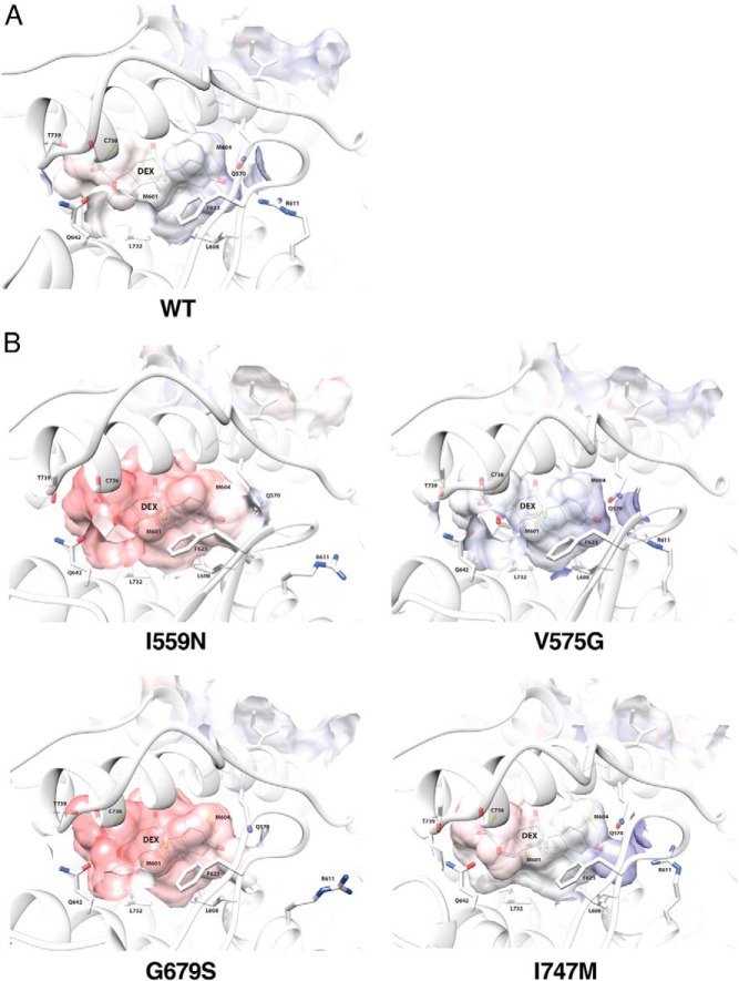 Figure 3.