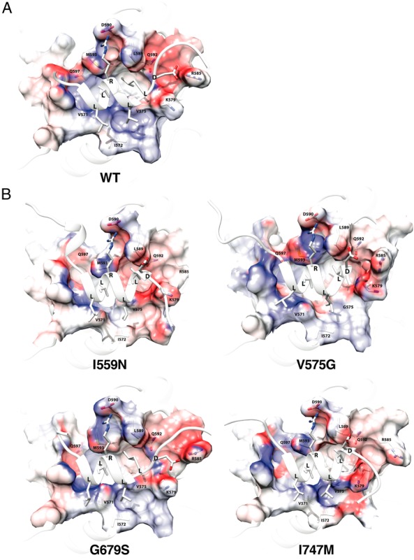 Figure 4.