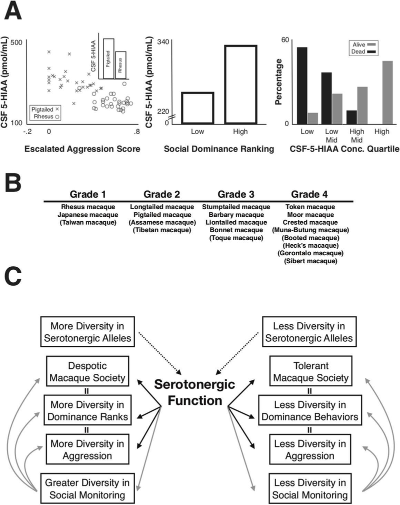 Figure 6: