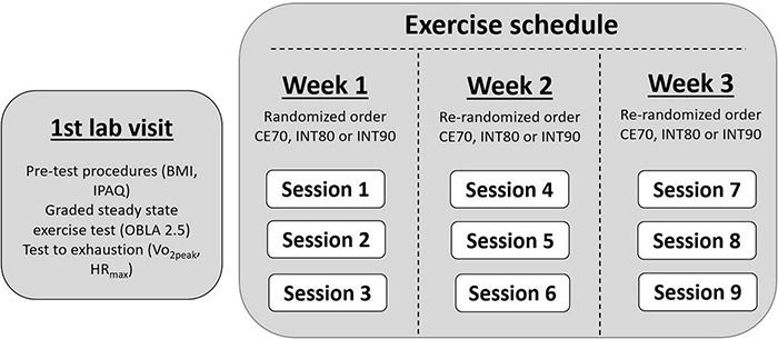 FIGURE 1