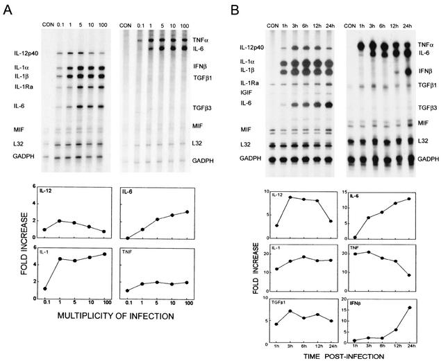 FIG. 1.