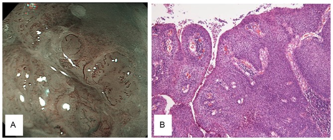 Figure 7.