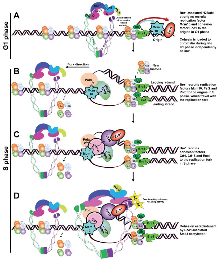 Figure 6.