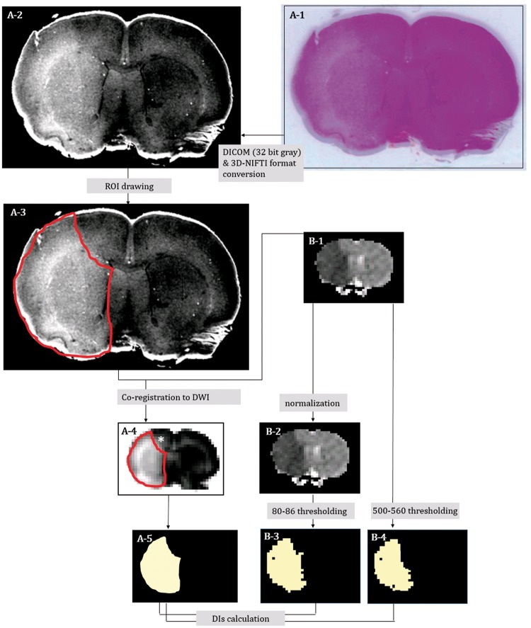 Figure 2.